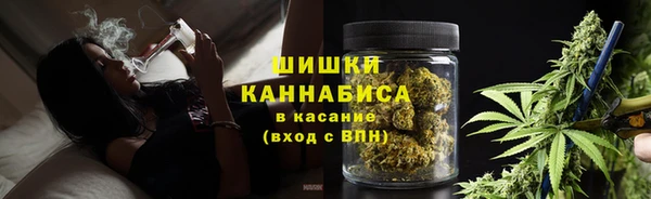 винт Белокуриха