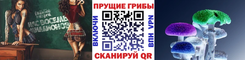 Галлюциногенные грибы MAGIC MUSHROOMS  Сураж 